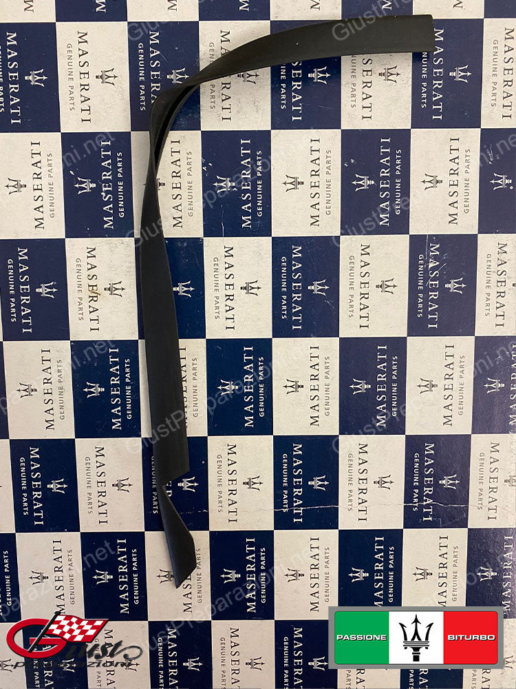 328320314 PARASPIFFERI POSTERIORE DESTRO