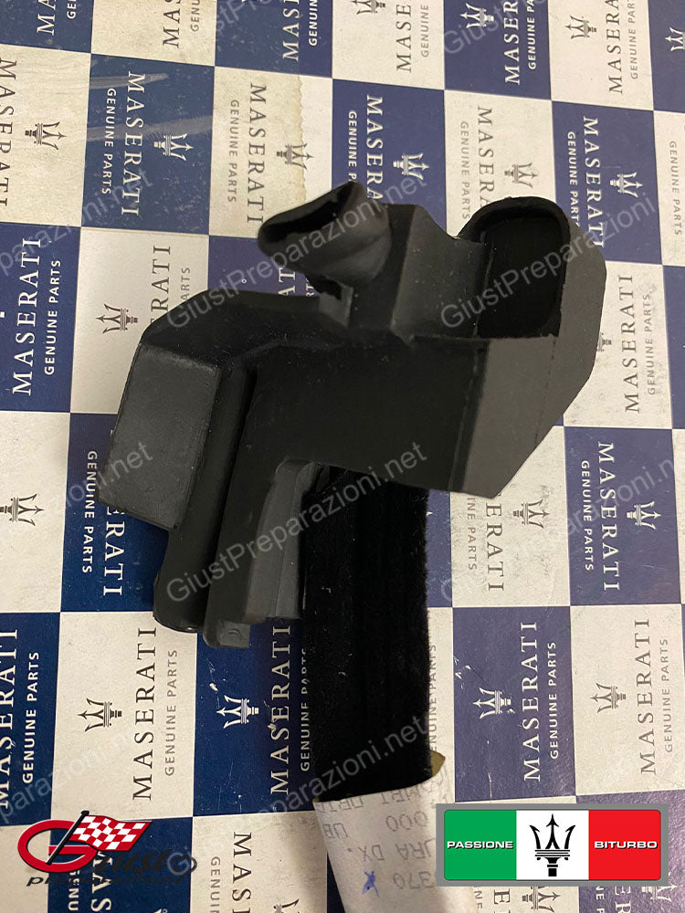 337720370 MODONATURA DX