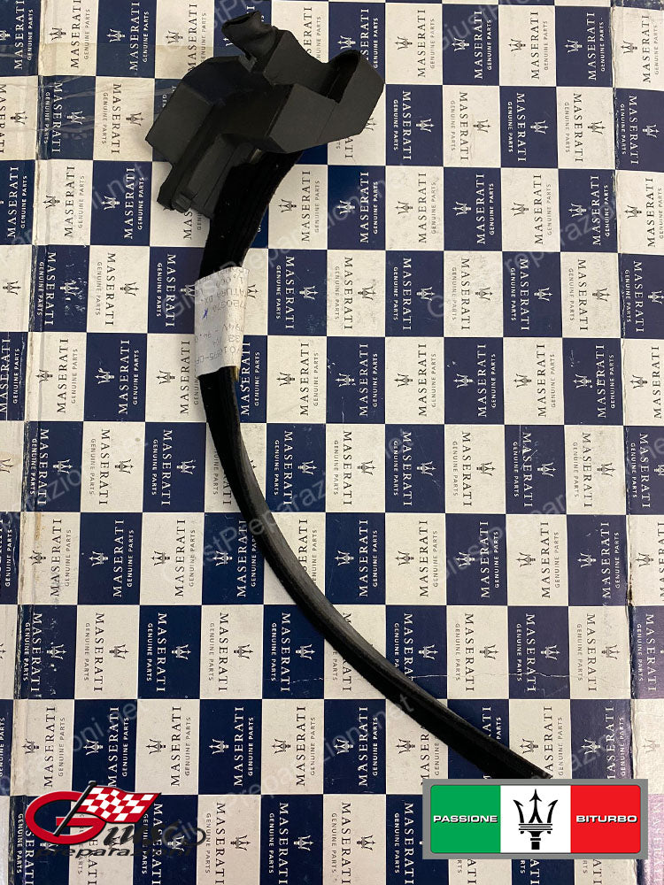 337720370 MODONATURA DX