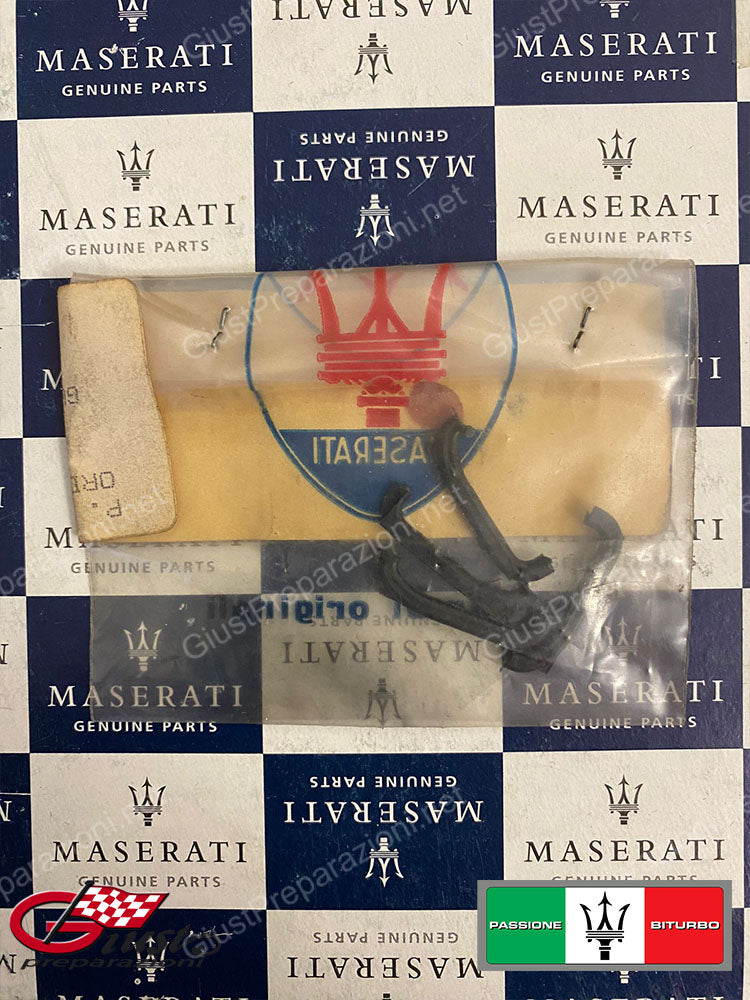 327720325 PARASPIFFERI