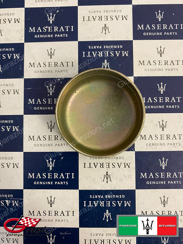 557201324 SCODELLINO