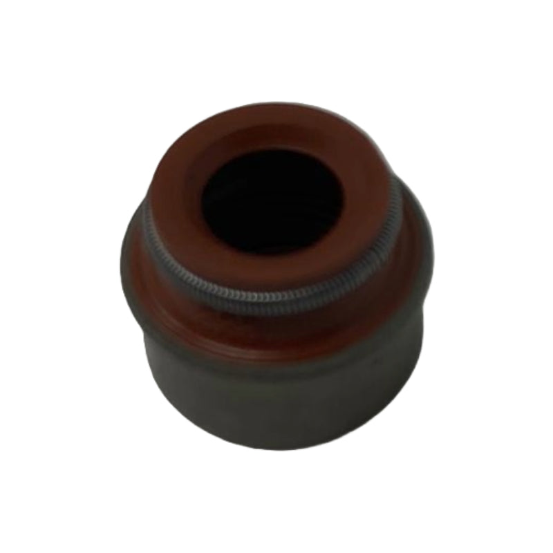 470002700 GOMMINO VALVOLE MASERATI