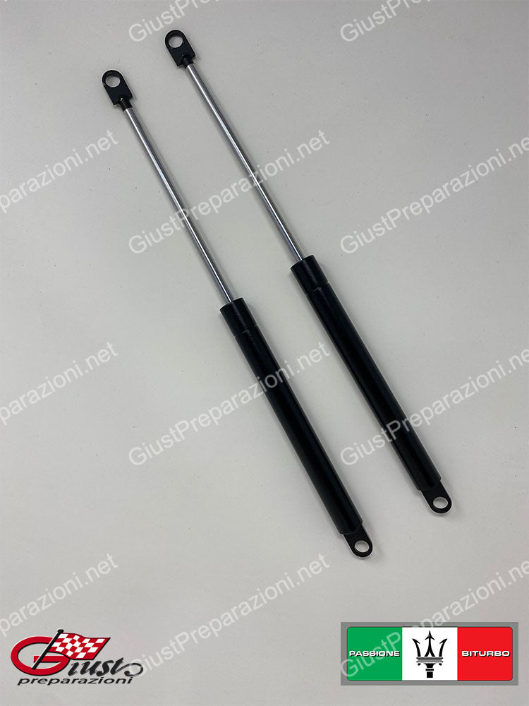 Kit 2 Molle A Gas / Pistoncini Bagagliaio Per Renault Megane II 1.5 DCi (2003-2008), 500N, Lunghezza 419 Mm, Marchi Tedeschi E Italiani - 2